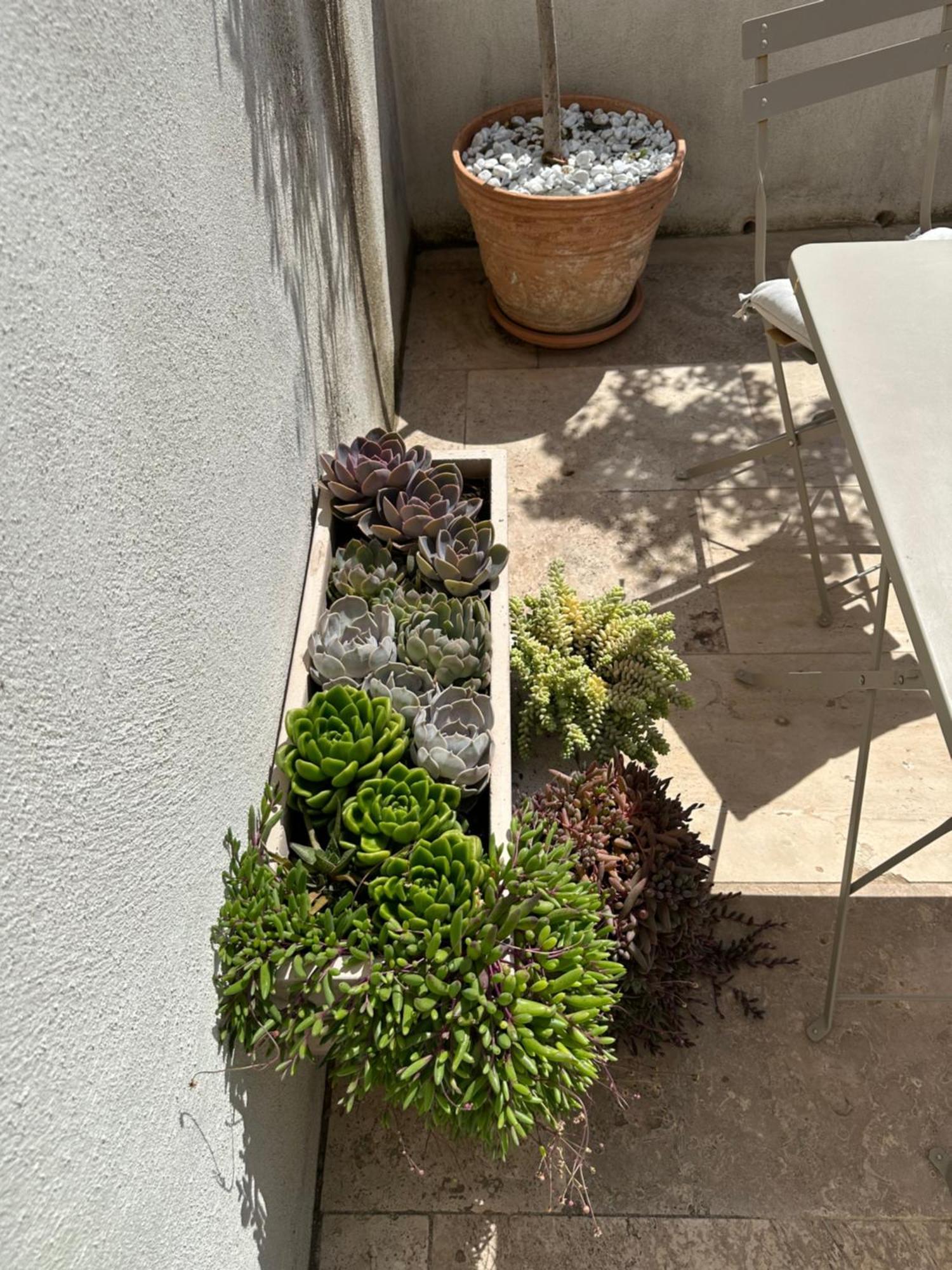 Appartements 3 Etoiles Terrasse Ou Patio Intra-Muros Aigues-Mortes Exteriér fotografie